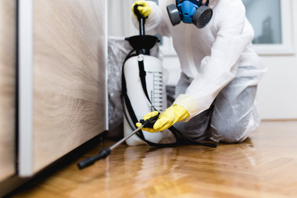 Best Termite Control Services  in Fort Plain, NY