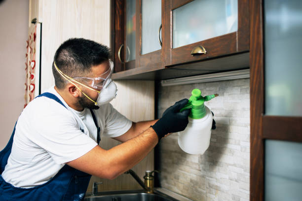 Best Residential Pest Control  in Fort Plain, NY