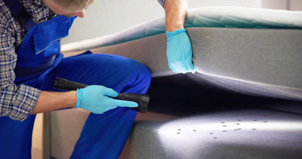 Best Pest Control Near Me  in Fort Plain, NY