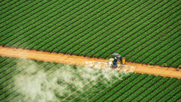 Best Pest Control for Homes  in Fort Plain, NY