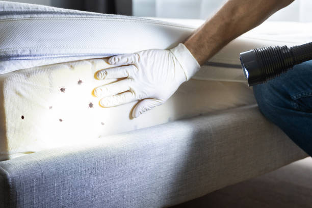 Best Commercial Pest Control Services  in Fort Plain, NY