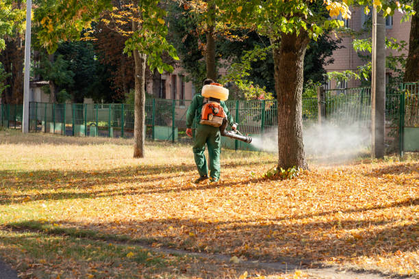 Best Local Pest Control Services  in Fort Plain, NY