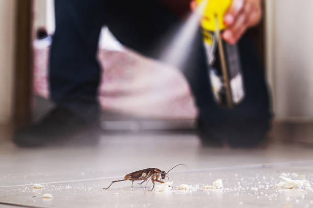 Professional Pest Control in Fort Plain, NY